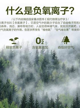 负氧子气净60290化器车载空除清甲醛异味烟离味新迷你静音