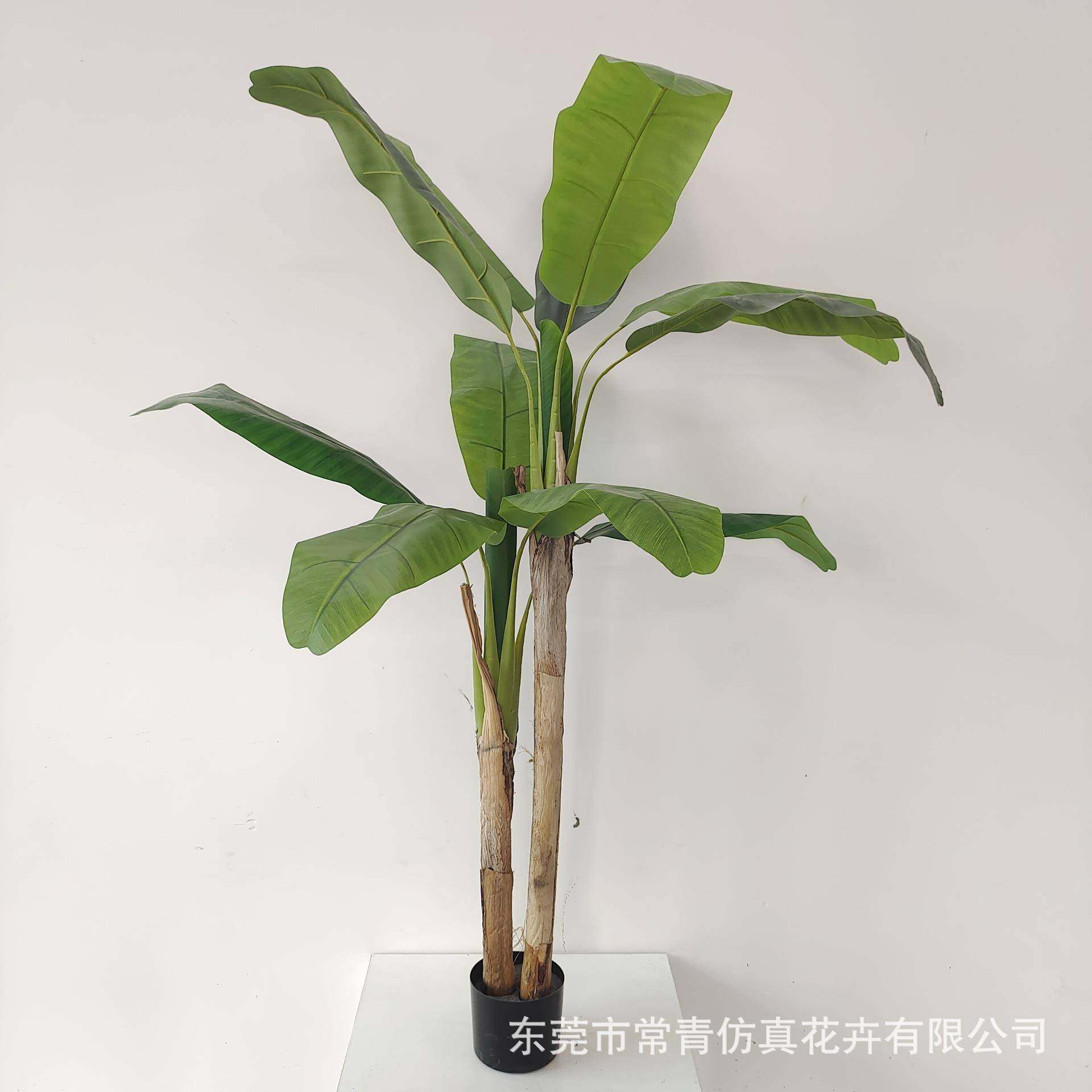 青仿真植物装饰CQ0011北假绿植盆件栽摆仿真芭欧蕉树常现货阳光