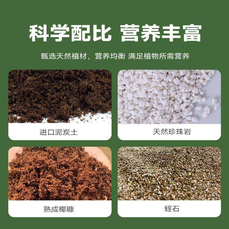 育育苗基质苗5基质0升有机营养土通种菜育苗扦插种植育苗用基质型,农用物资,育苗/栽培基质,淘宝优惠券,粉丝福利购,淘宝优惠卷