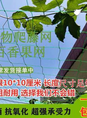 爬藤网攀爬网保UON护网鸟防殖园艺种植网爬藤架家养禽养网鸡网护