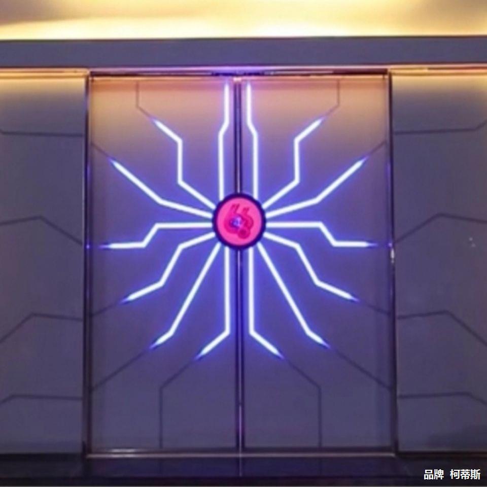 网红门电动科幻门掌纹智