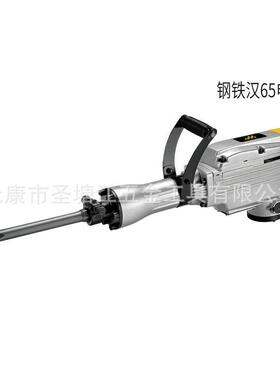 钢铁汉电镐功率DEZ混凝土破碎拆墙电电动工镐t电大镐大功具率重型