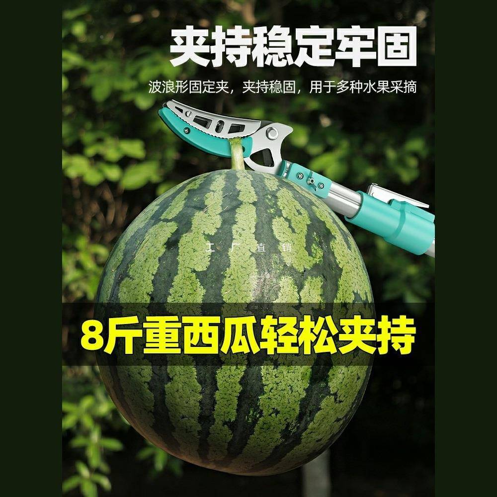 摘枇杷采摘水眼果荔枝高杨梅龙摘果神器伸64272343剪缩杆高空树枝