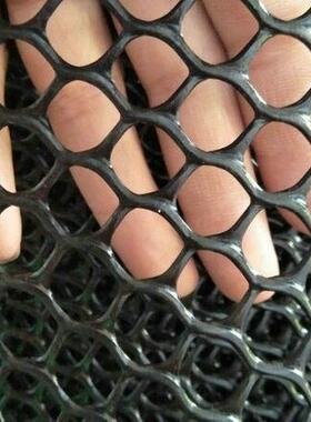 厂雏家绿色整卷塑料平网SQA养殖网床养鸡塑料网网片小孔育网