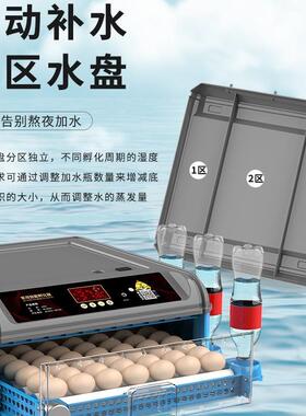 厂家直销芦器丁孵化机孵蛋器鸡小蛋的VQI机器化小型家用型全孵自