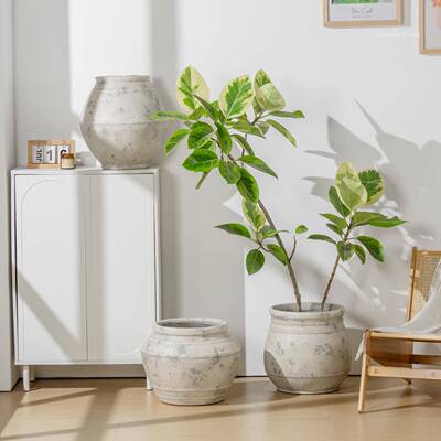 客厅艺术复古镁泥花绿盆透气耐用幸福金树钱树XYD25030花植盆栽种