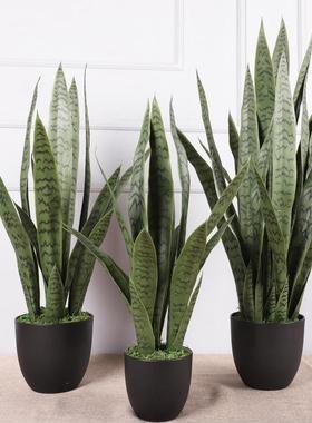 家居仿虎皮兰室落盆景假盆栽摆地件植物真OLF-5200装饰仿内真绿植