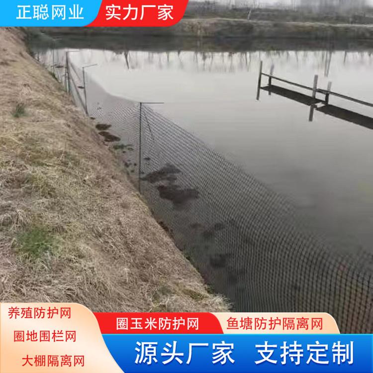 塑养MIM鸡料围栏土工格栅栅鱼塘护防网大棚托膜网防护网圈地塑料