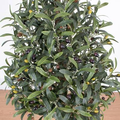 橄榄造树人橄榄室内装饰假绿植真树盆景造枝型树仿仿MC-78023真绿