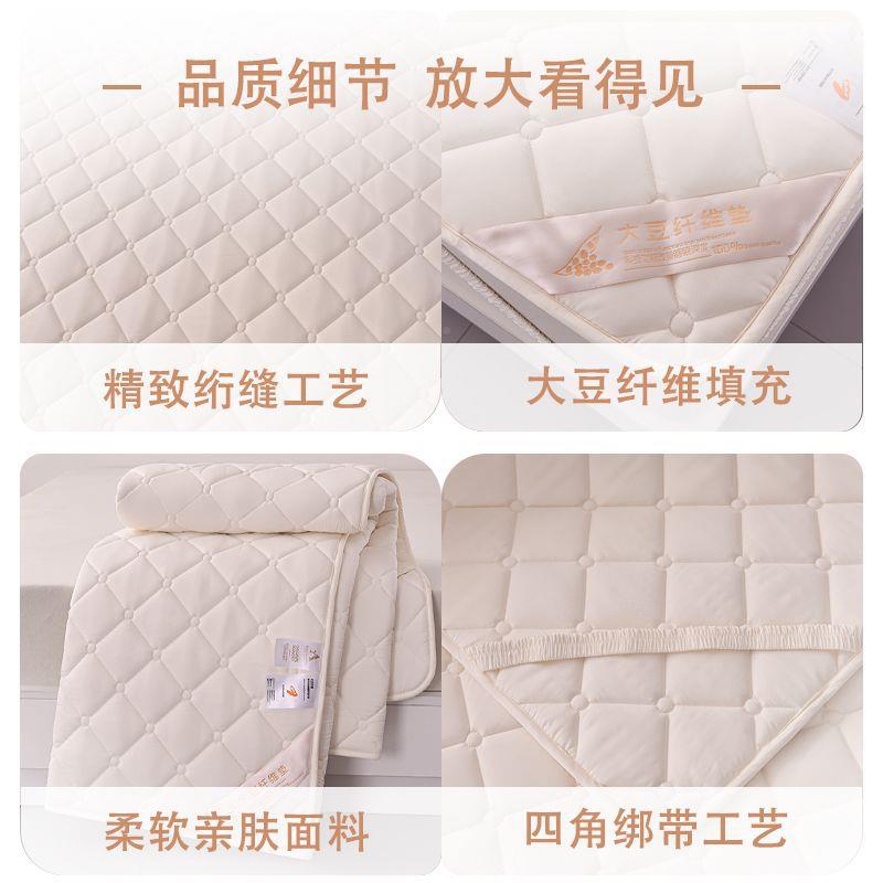 豆类大纤维床垫褥子软A垫家用加厚人保护垫宿舍月挺家纺单双面铺