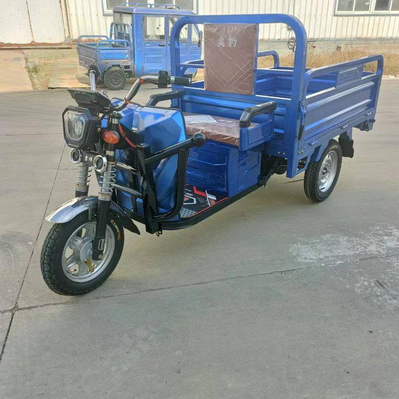 电动三轮车成人递用拉货家农用摆摊08货载载重王电瓶车夜市地快摊