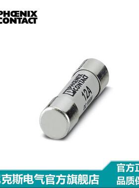 默认项保丝10x38小型熔断器险-FUSE1,03X3812APV