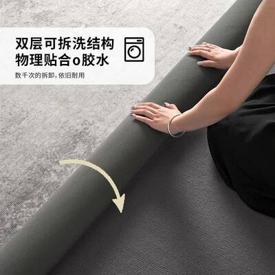可拆洗地毯客厅kcx23625面卧室垫新款轻奢高感大积全铺可机洗地可