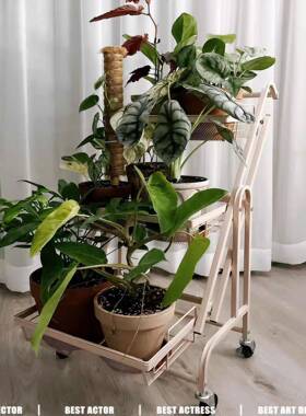 网红夜摆摊小推车ins风室卧置物架多层市收纳架客属厅wp058945金