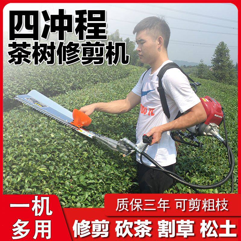 四冲程剪茶叶修剪机茶树背负式绿篱汽油采茶机器多功能割砍茶树机