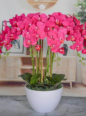 大盆手感蝴兰仿真花摆客件厅装蝶饰摆设高VRK档店前台假酒花大型