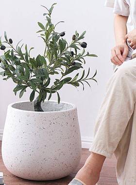 室内简约白色水泥花鸟盆堂大口竹径落地阳台龟背客厅天百合XWC竹