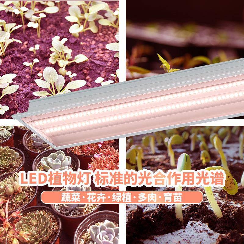 grolBYOi物ght太阳灯植多肉绿led植生长灯全w光谱植物补光灯
