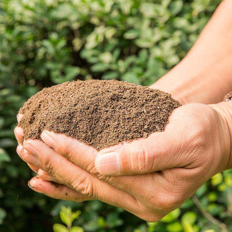 羊粪有机肥现发酵羊粪花肥果蔬菜卉货MBM园艺有机瓜羊粪肥