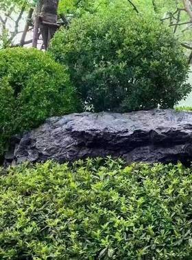 石原石庭院黑景山231215观石然石天头摆件景观石设计师常用园林黑