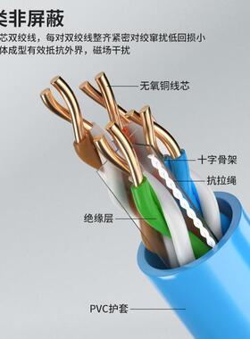 网线六类cat程监控氧铜网无络工线非屏蔽家用双绞线ARB3065米抗干