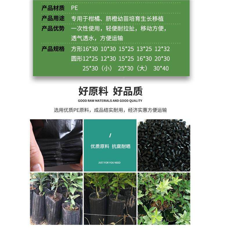 脐橙苗营养钵育苗盆方口养杯1112苗育杯塑料育苗育盆柑橘营苗加厚
