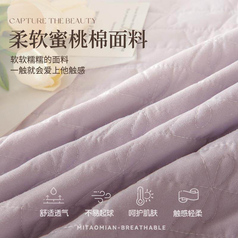 2024边新加厚夹棉1床笠床裙单件二合公主款风床单带裙床罩一套