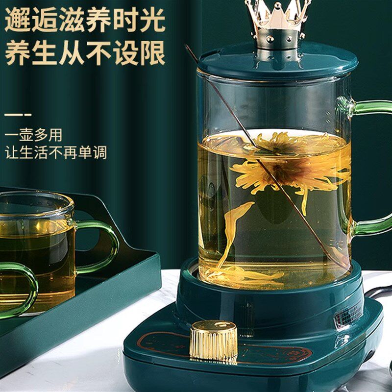 多功能迷你电热水杯烧水杯煮花茶杯分体高硼玻璃泡茶杯煮水杯礼品
