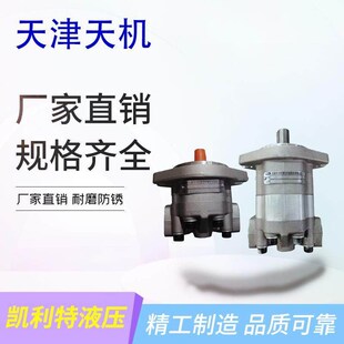 20R 113S A15S 30GM5 20R齿轮泵10 天津天机GM5