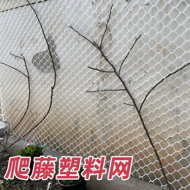 月季花墙架网格植物爬藤架爬藤网种植网攀爬架网大孔塑料网牵引网图片