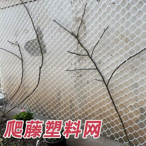 月季花墙架网格植物爬藤架爬藤网种植网攀爬架网大孔塑料网牵引网