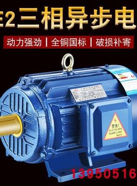 YE2-90S-21.5W三相电动机YE2系列电动机380伏国标电机
