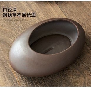 铜钱草水培花盆家用水养绿植桌面金钱草专用紫砂带托盘无孔大小号