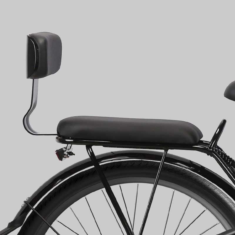 凤凰莉莉可提锂电池电动自行车男女士成年人电助力自行车电动单车