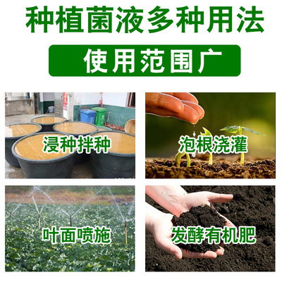 种植em益生菌原液壮根苗花卉果蔬菜植物营养液通用有机肥料酵素菌