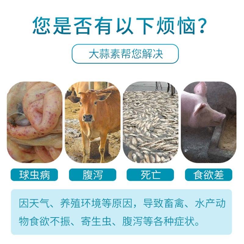 大蒜素粉兽用浓缩鸡鸭猪牛羊诱食饲料添加剂水产益生菌