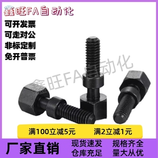 L30 T尺寸简易 外六角调整螺栓PAY21
