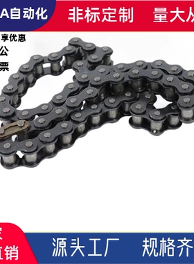 链条VMB/VMC/VMD/VMF/VMG/VMK/VML/VMN01-25/35/40/50/60/80/100