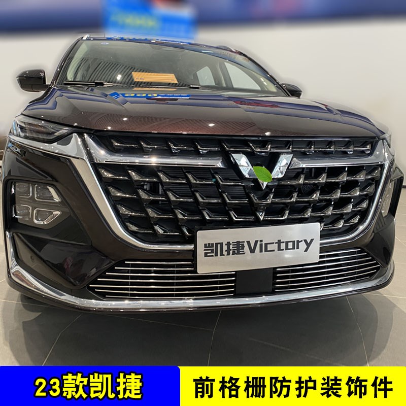 五菱凯捷中网外观改装件 前脸格栅保险杠防护专用防虫网装饰亮条