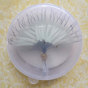 大大分钩器夜光分叉器分线器其他渔具垂钓用品钓鱼装备鱼具小配件