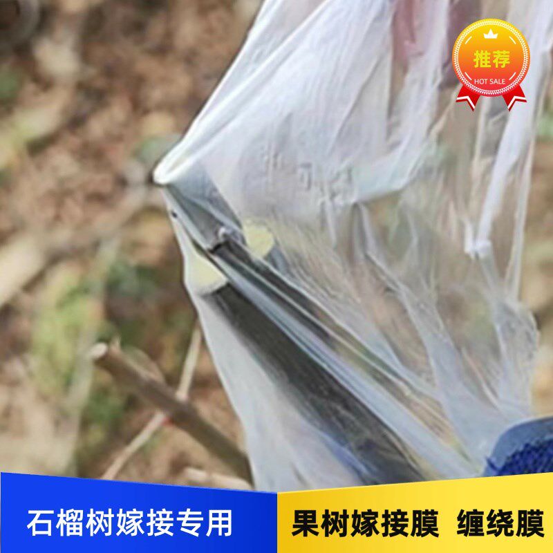 石榴树苗果树嫁接膜园林苗木农用园艺盆景种植捆绑打结嫁接缠绕膜