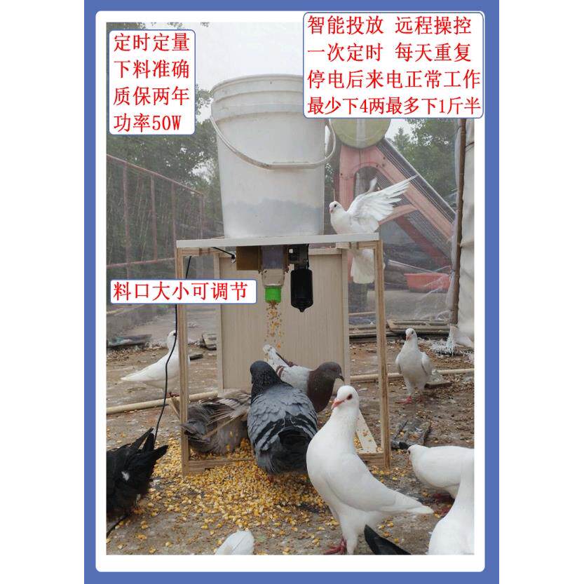 信鸽观赏鸽养鸡鸭鹅全自动喂食器散养食槽喂料机盒定时远程喂料盒