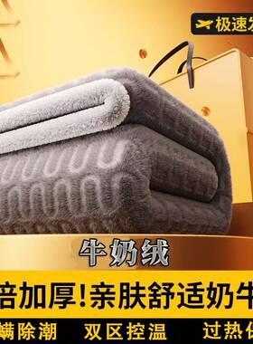 新数热显热款国22591标电毯冬季单人双人电褥子双控宿舍学生家用