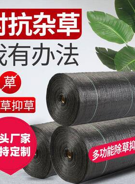 园艺布除草布花卉苗床基防草布果园果树草地防布层地膜QXE地布