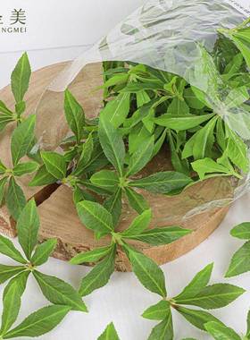 单片仿真Y6叶枝顶SM-4372叶醉木叶片枯树D马I装饰假绿叶塑料叶片