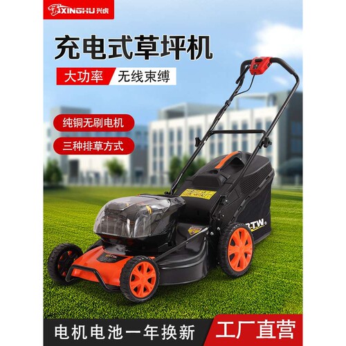 兴虎60V无刷园林割草机 大功率锂电草坪机 手推式户外草坪打草机