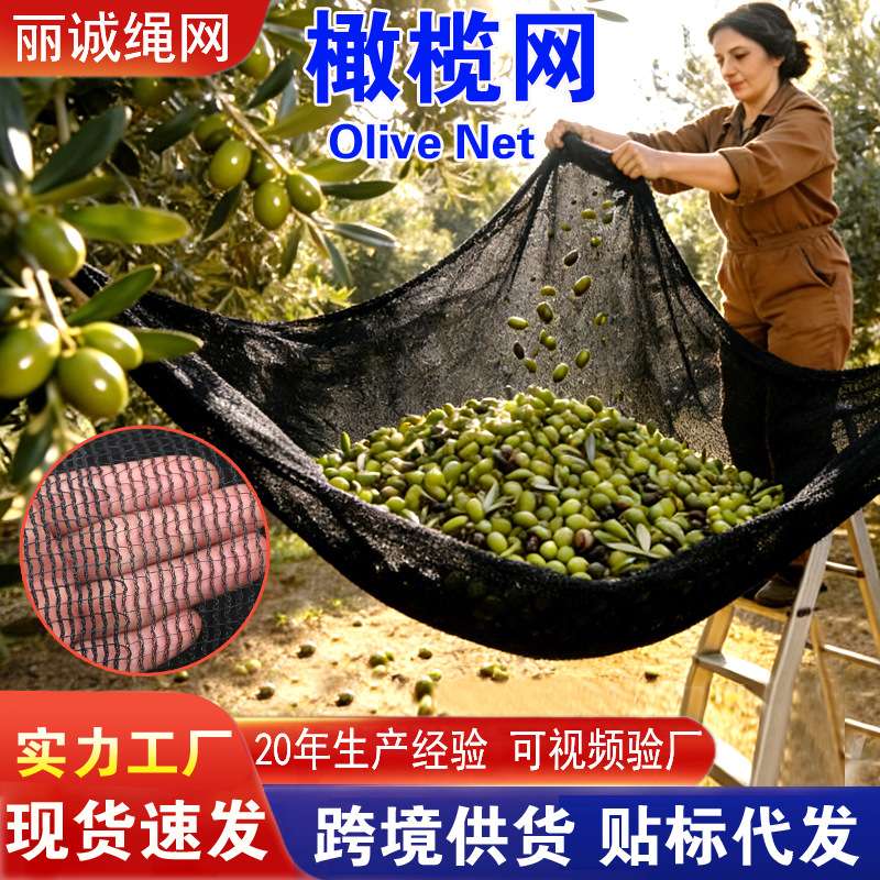 橄榄网果实收集网绿色高密度聚乙烯网防坠密目网花园防风网