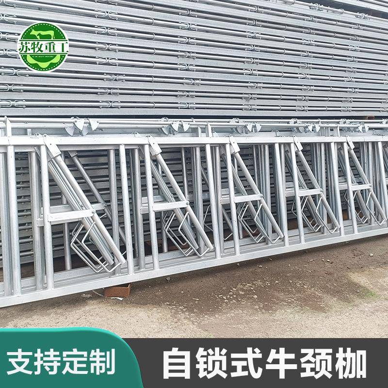 苏牧养牛设备厂家热镀锌材质耐用养殖场用750型牛颈夹防生锈奶牛