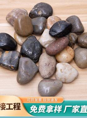 石色鹅卵石抛光雨花石杂净公园庭院铺路鱼缸77271造景污水化鹅卵