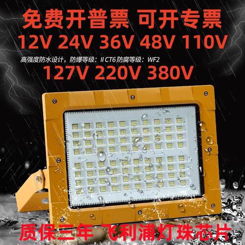 新款2025低压EX防爆认证灯12v48v泛光24v巷道井下127v煤矿灯110v